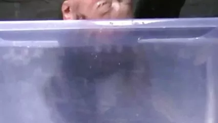 מעוצב ודפוק בתחת סרטי סקס לצפיה מידית ברונטית אירוטית.