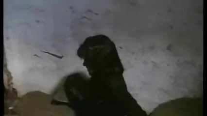 לבלונדינית יפה סרטי פורנו לצפייה חינם יש זין עמוק בתחת.